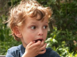 KONICA MINOLTA DIGITAL CAMERA